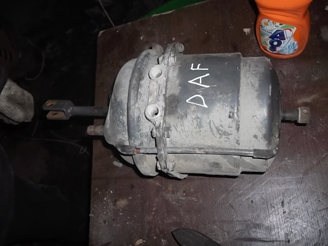 3825 DAF даф