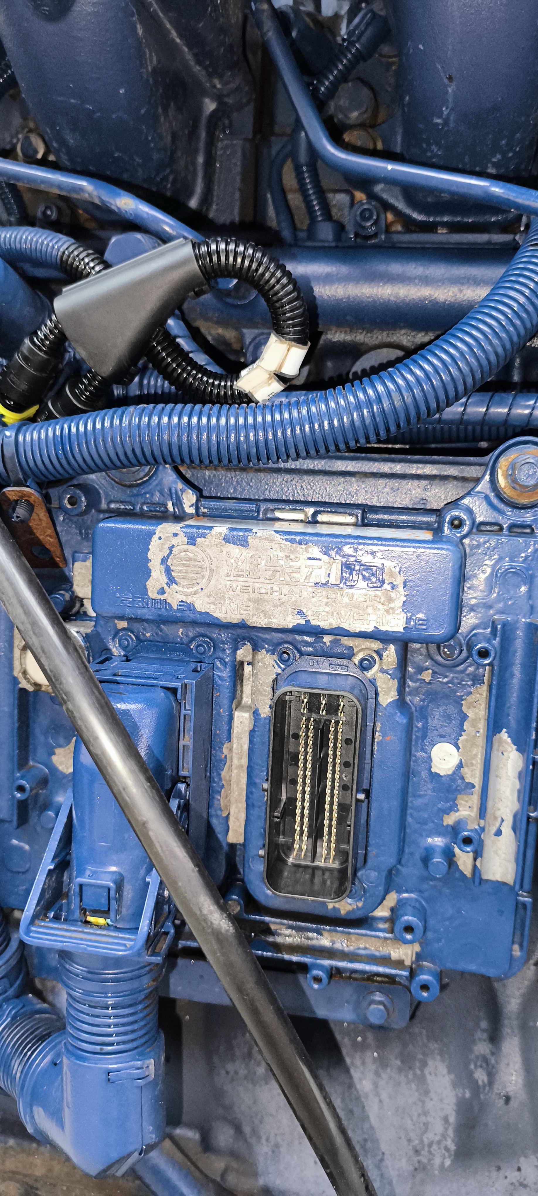 Двигатель Weichai WP13.480E501